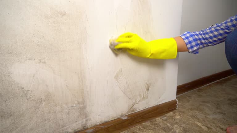 Reliable Villa Hills, KY Mold Inspection, Removal & Remediation Solutions